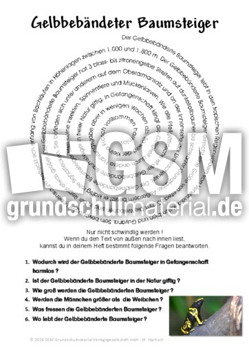 Gelbbebänderte Baumsteiger.pdf